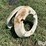 wheel-weights-image-7