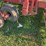 sunflower-6432-36ft-finishing-tool,-beater-bar,-5-bar-harrow,-used-this-spring-image-9