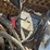 bobcat-325-image-48