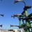 2004-john-deere-2210-image-26