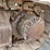2013-caterpillar-329el-image-6