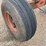 minnesota-jumbo-10-image-8