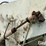 pamco-4-ton-spreader-image-14