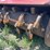 2021-vematec-30in-excavator-bucket-image-11
