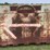 iron-bin,-54”x85”x-54”-tall-image-3