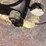 john-deere-model-g-flywheel-image-10