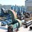 #127-•-brewer-3-head-golden-eagle-resaw-image-5
