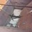 1995-wheeler-gh2-hopper-bottom-trailer-image-29