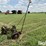 john-deere-5-image-6