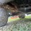2020-john-deere-gator-xuv-835m-image-17