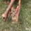 massey-ferguson-mf15-grinder-mixer-image-9