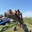 grain-chain-conveyer-auger-with-chute-image-6