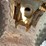 2003-viking-cement-mixing-trailer-image-4