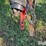 2003-case-ih-rbx562-image-9