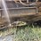bobcat-t190-image-25