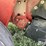 2003-case-ih-rbx562-image-20