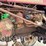 947---farmall-138-(sn#-4203)-image-5