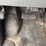 2009-ford-e350-image-25