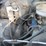 #19-•-#26805-•-1982-chevrolet-scottsdale-pickup-1gcgc24m5cj147797-image-20