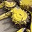 john-deere-688-image-22