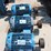 #127-•-brewer-3-head-golden-eagle-resaw-image-16