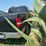 2006-ford-f150-image-3