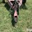 2004-demco-conquest-image-9