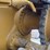 2013-cat-dgn-lgp-dozer-image-10
