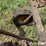 john-deere-5-image-15