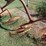3pt-one-side-4-wheel-hay-rake-image-5