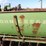 john-deere-double-drill-w/-attachment-image-13