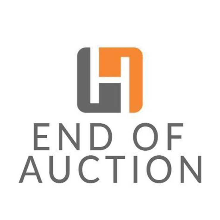 #999999 • This is the Last Lot of the Auction!