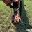 2003-new-holland-1475-image-9