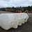 1200-gallon-poly-tank-image-2