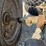 john-deere-b-image-15