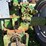 john-deere-3010-image-12