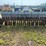 case-grain-drill-image-3