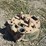 john-deere-model-a-head-image-11