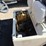 #23038-•-club-car-golf-cart,-gas-powered-|-parts-or-repair-image-5