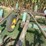 john-deere-1600-image-4