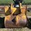 caterpillar-320-image-53
