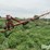 1999-feterl-auger-image-1