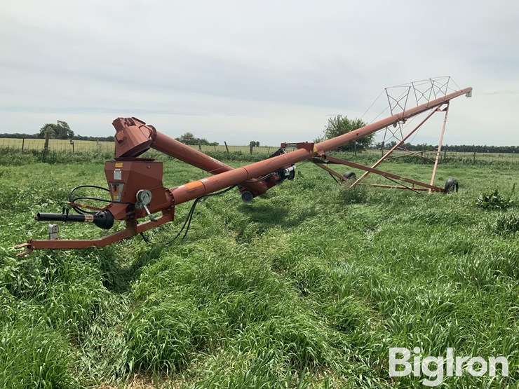 1999-feterl-auger-image-1