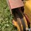 rowse-sickle-mower-image-17