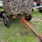 5'x5'-tin-deer-stand-on-wagon-image-4