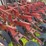 case-5400-drill,-20ft,-soybean-special,-yetter-no-till,-with-markers-image-11