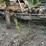 #129-•-2004-wood-mizer-lt300-bandmill-image-19