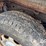 2012-ford-f150-image-26