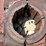 john-deere-model-g-flywheel-image-8