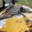 yale-hard-tire-fork-lift,-4ft-forks,-lp,-image-5